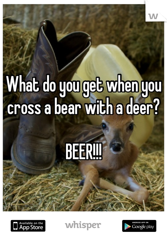 What do you get when you cross a bear with a deer?

BEER!!!