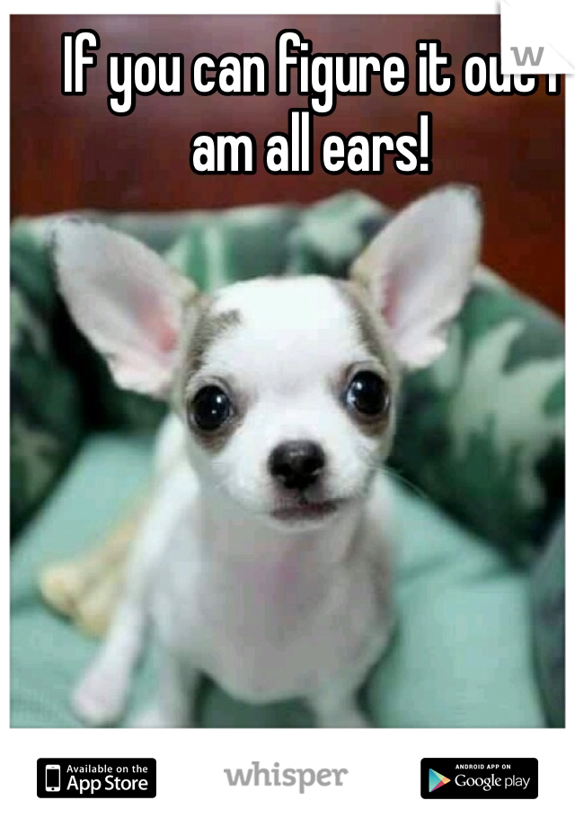 If you can figure it out I am all ears!
