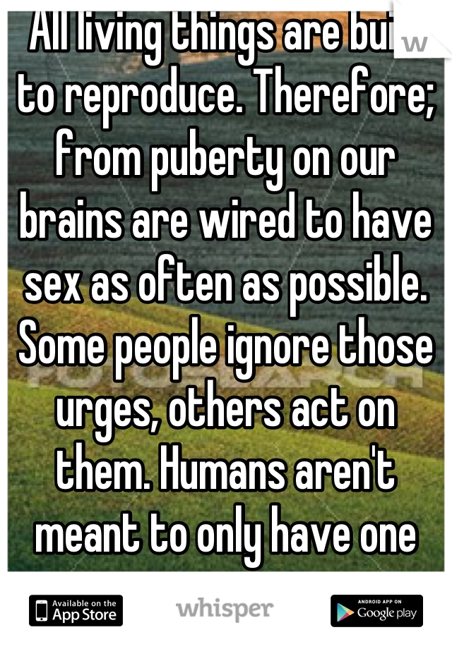 All living things are built to reproduce. Therefore; from puberty on our brains are wired to have sex as often as possible. Some people ignore those urges, others act on them. Humans aren't meant to only have one mate.
