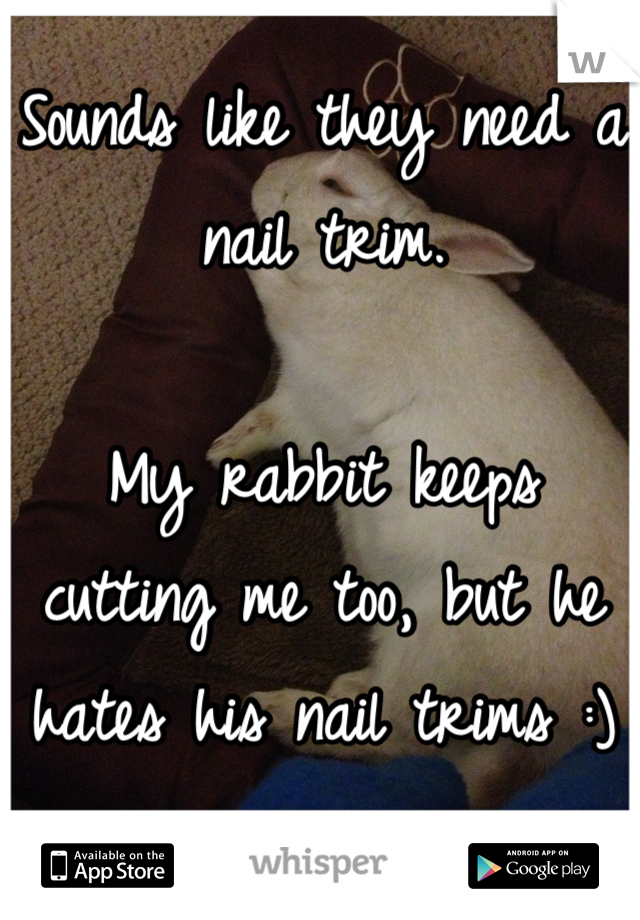 Sounds like they need a nail trim. 

My rabbit keeps cutting me too, but he hates his nail trims :)