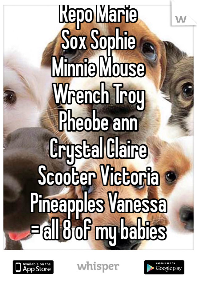 Repo Marie
Sox Sophie 
Minnie Mouse 
Wrench Troy 
Pheobe ann
Crystal Claire 
Scooter Victoria 
Pineapples Vanessa 
= all 8 of my babies 