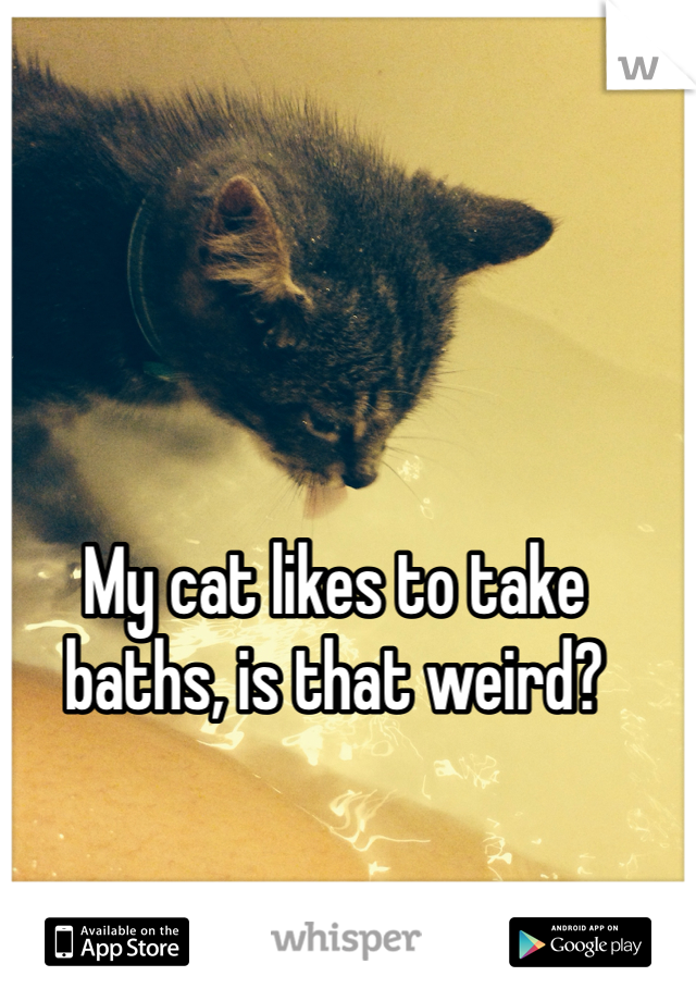 My cat likes to take baths, is that weird? 