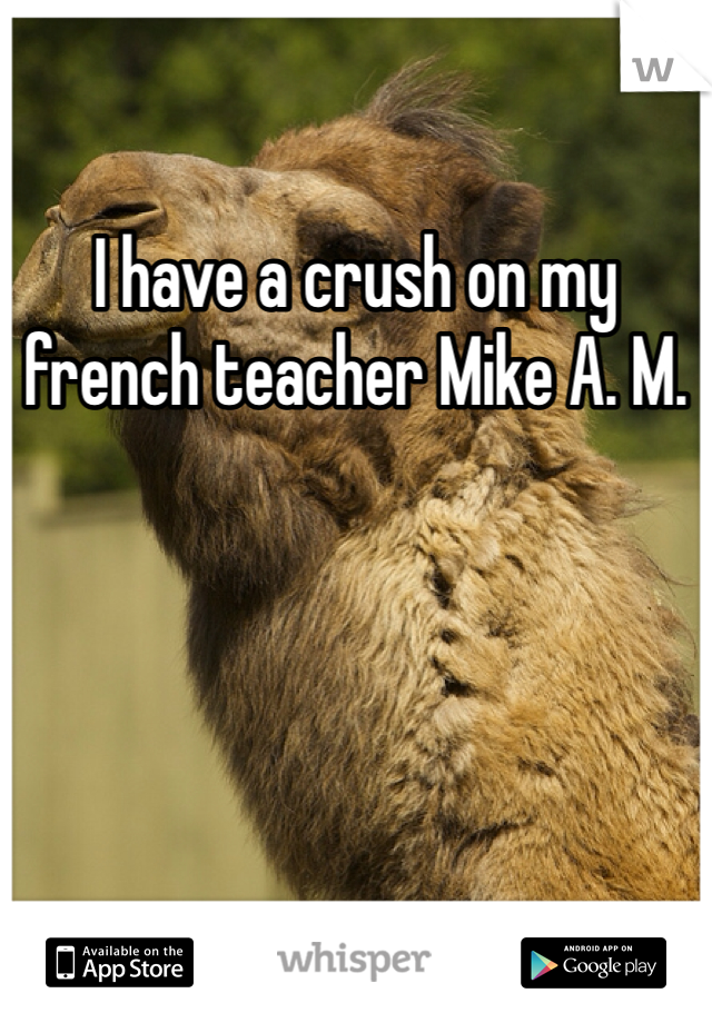 I have a crush on my french teacher Mike A. M.
