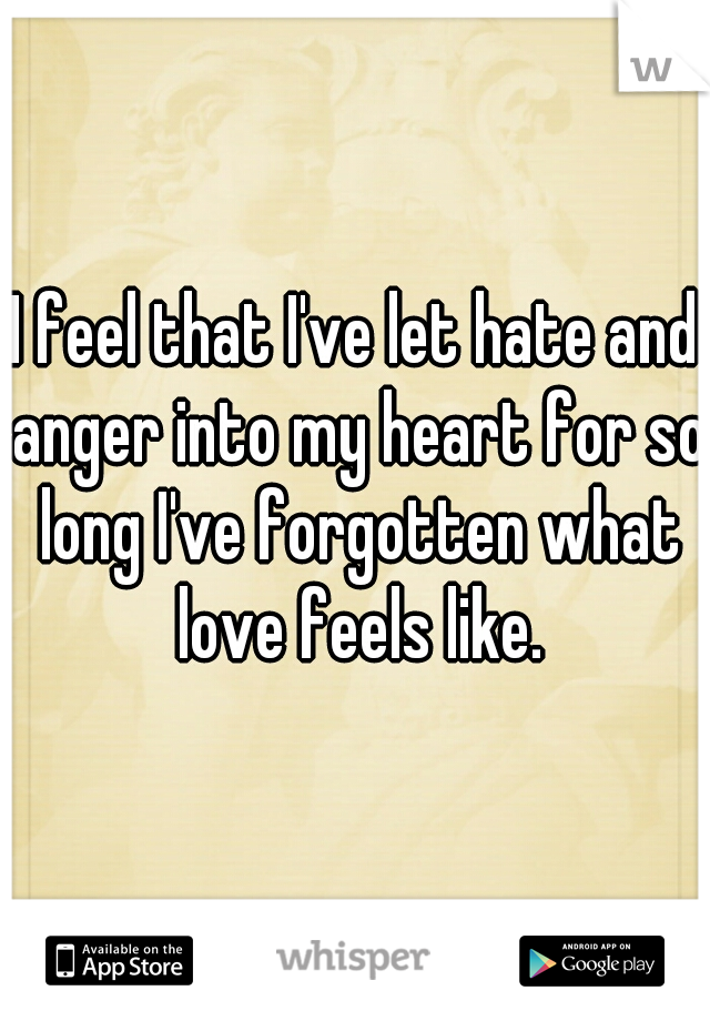 I feel that I've let hate and anger into my heart for so long I've forgotten what love feels like.