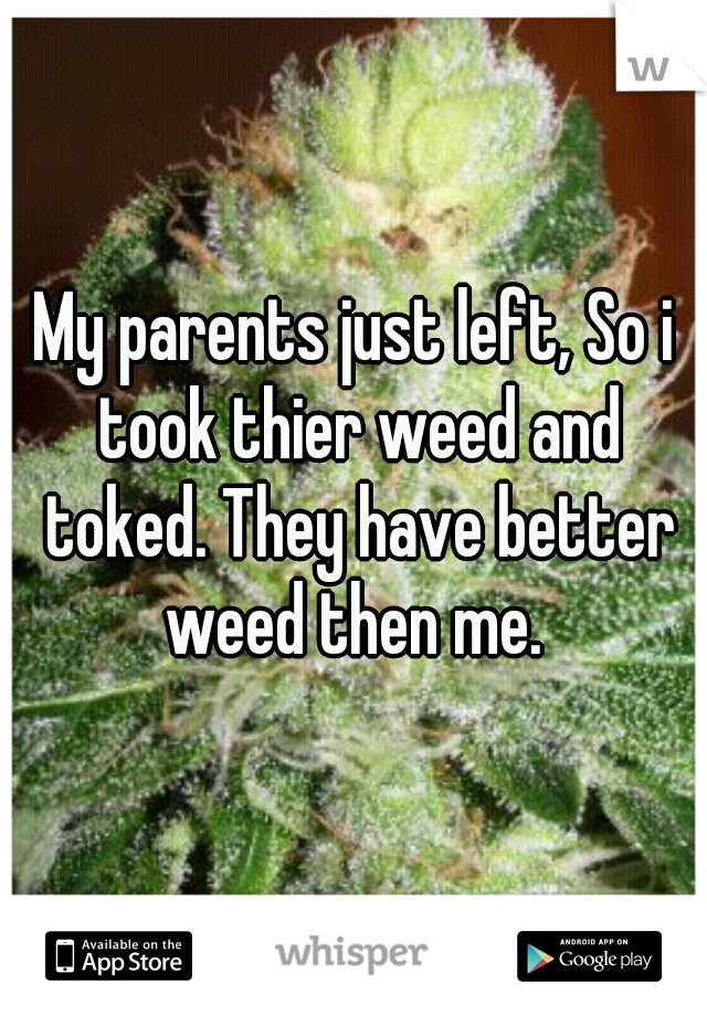 My parents just left, So i took thier weed and toked. They have better weed then me. 