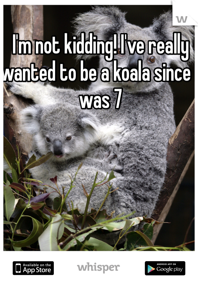 I'm not kidding! I've really wanted to be a koala since I was 7 