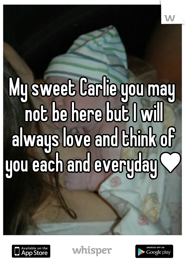 My sweet Carlie you may not be here but I will always love and think of you each and everyday♥