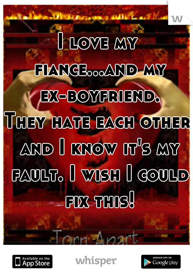 I love my fiance...and my ex-boyfriend.
They hate each other and I know it's my fault. I wish I could fix this! 