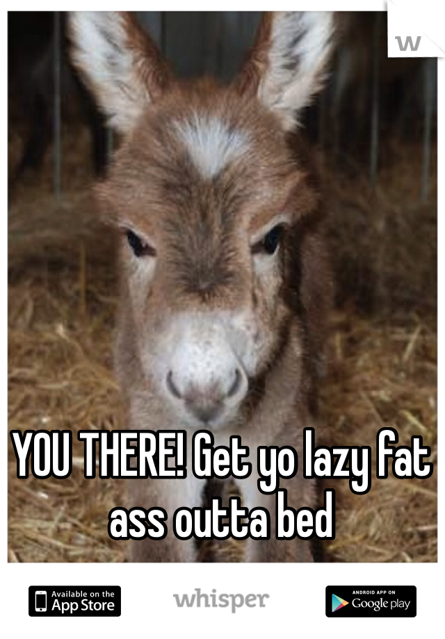 YOU THERE! Get yo lazy fat ass outta bed
