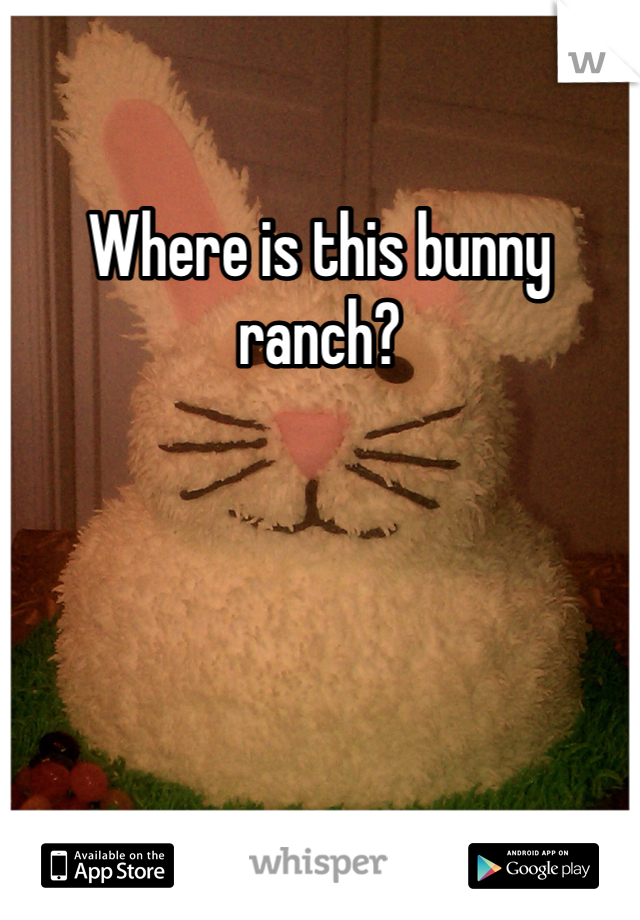 Where is this bunny ranch?