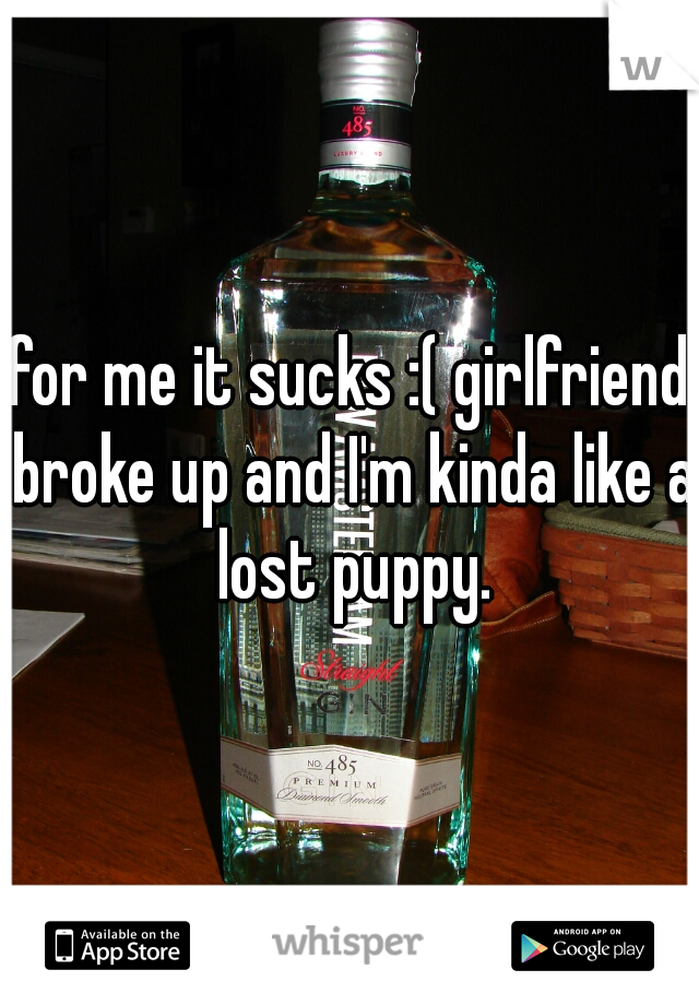 for me it sucks :( girlfriend broke up and I'm kinda like a lost puppy.