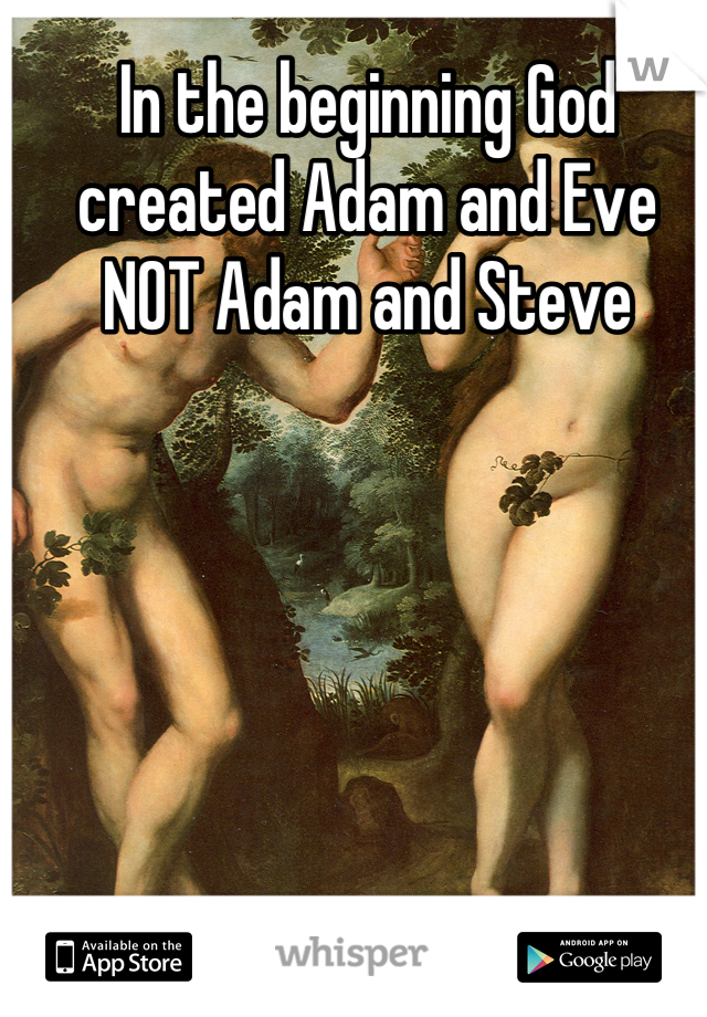 In the beginning God created Adam and Eve NOT Adam and Steve