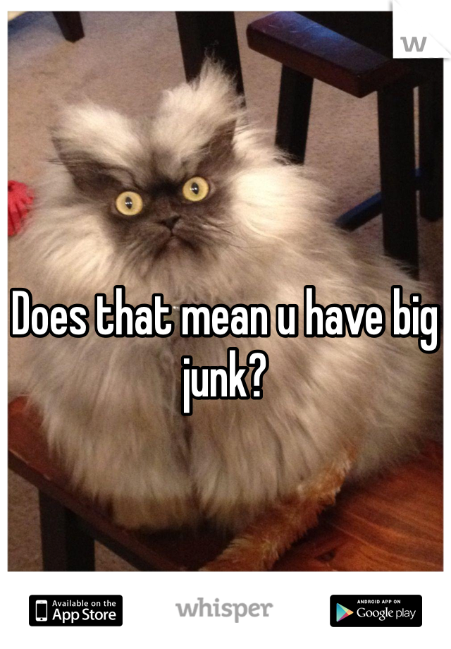 Does that mean u have big junk?