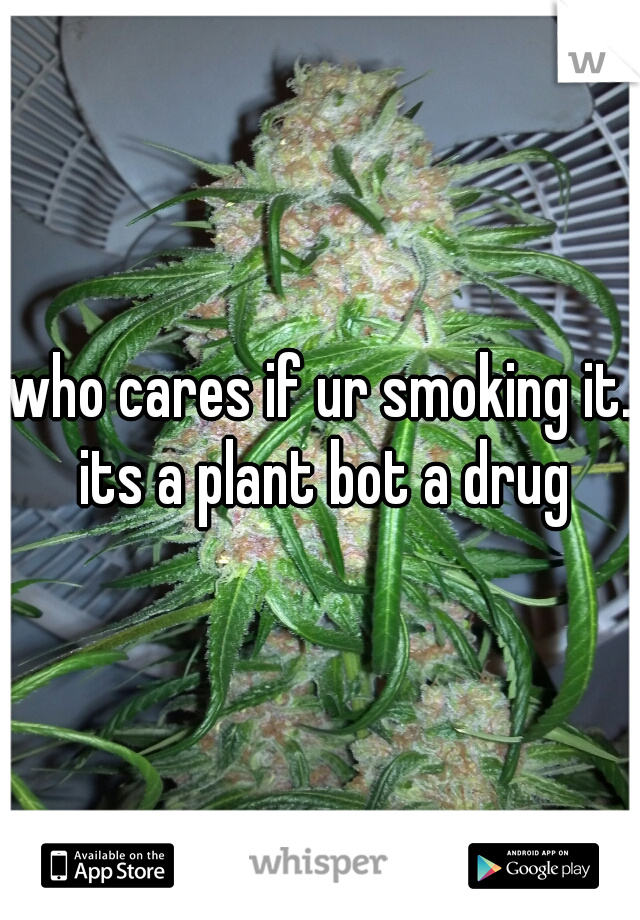 who cares if ur smoking it. its a plant bot a drug