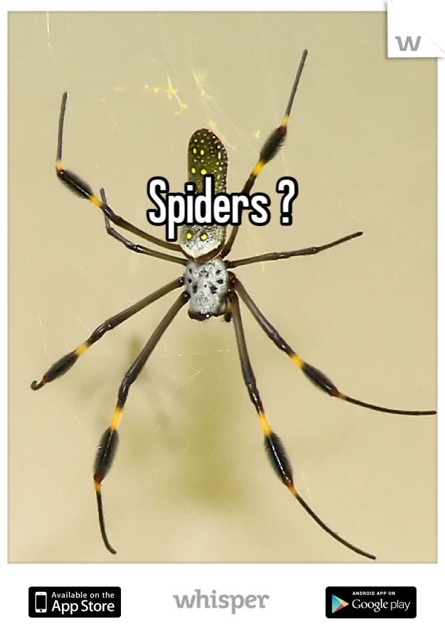 Spiders ?
