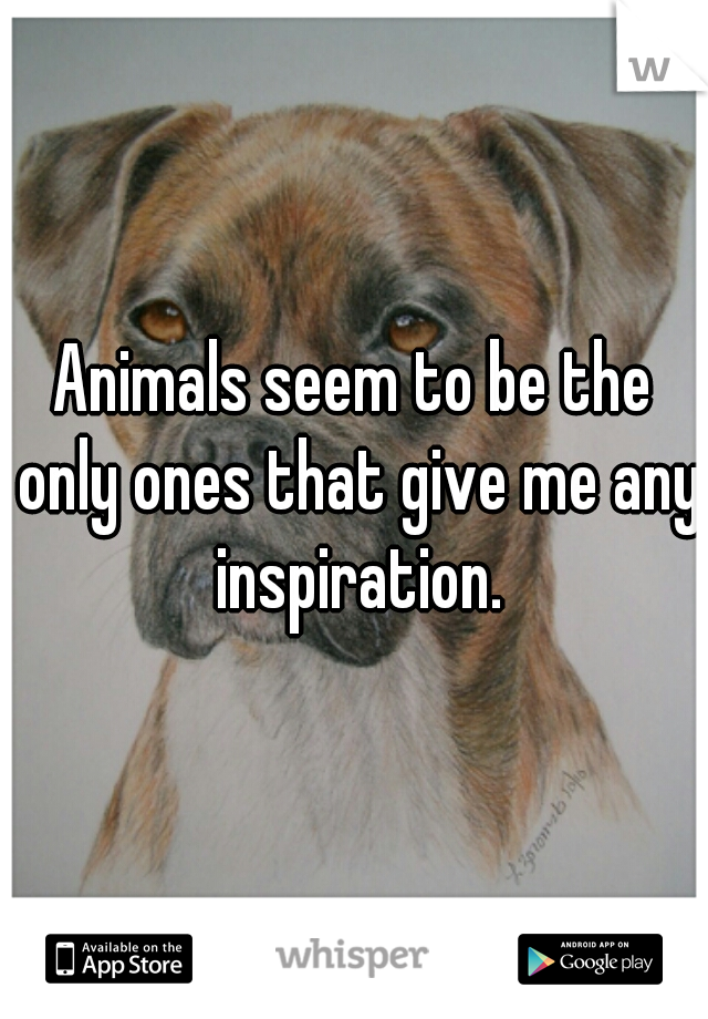 Animals seem to be the only ones that give me any inspiration.