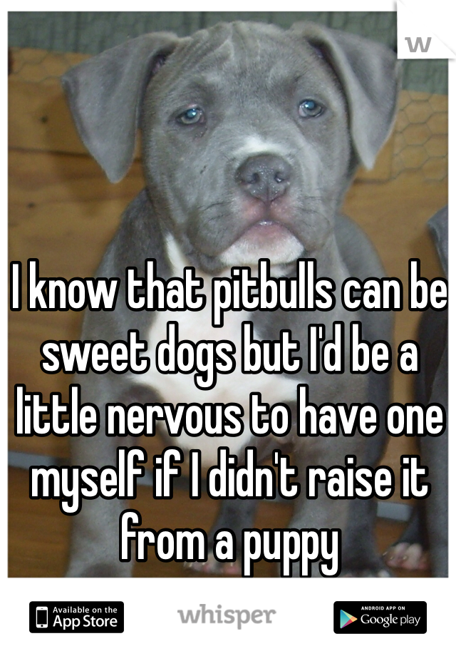 I know that pitbulls can be sweet dogs but I'd be a little nervous to have one myself if I didn't raise it from a puppy 