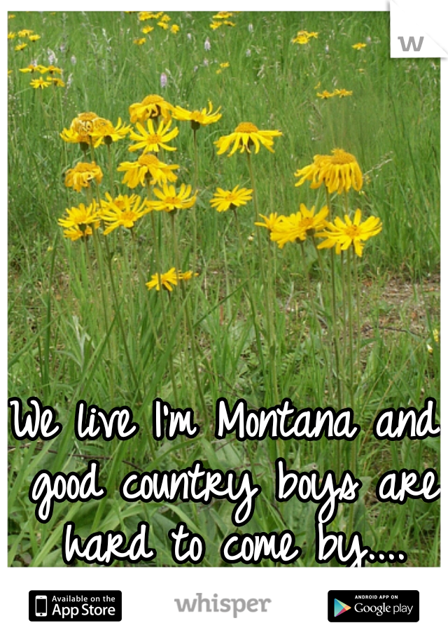 We live I'm Montana and good country boys are hard to come by.... Makes me sad! 