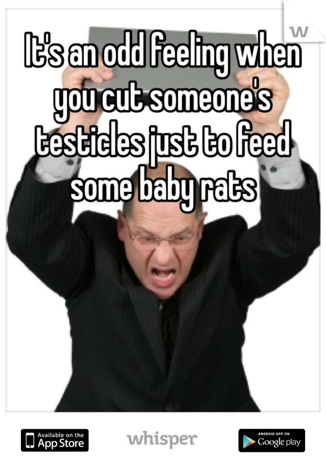 It's an odd feeling when you cut someone's testicles just to feed some baby rats