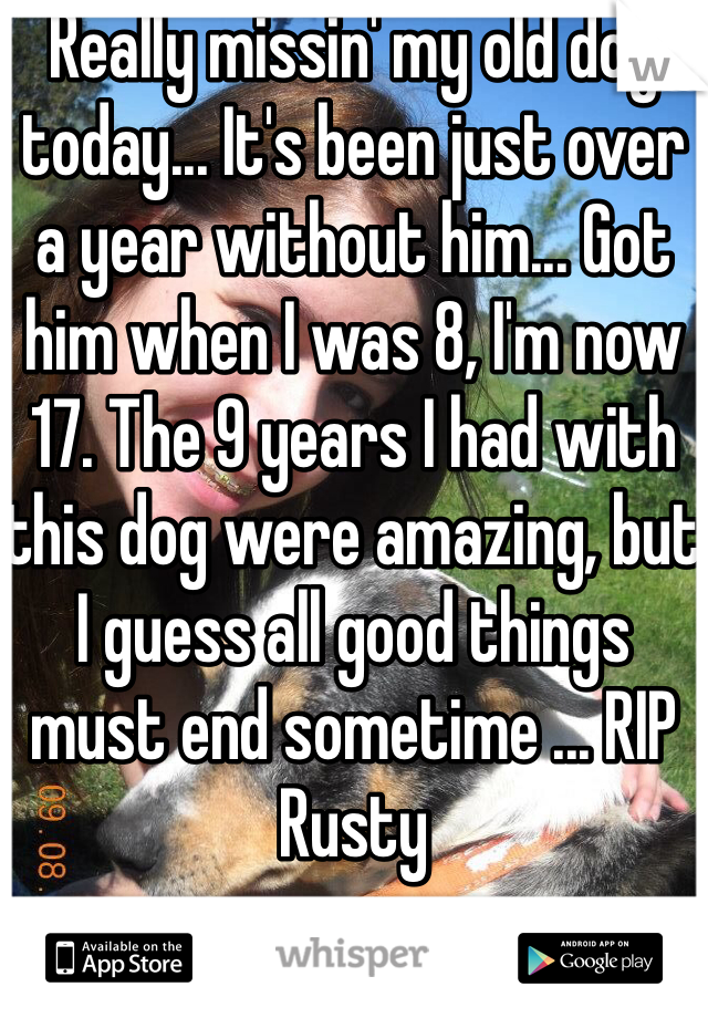 Really missin' my old dog today... It's been just over a year without him... Got him when I was 8, I'm now 17. The 9 years I had with this dog were amazing, but I guess all good things must end sometime ... RIP Rusty