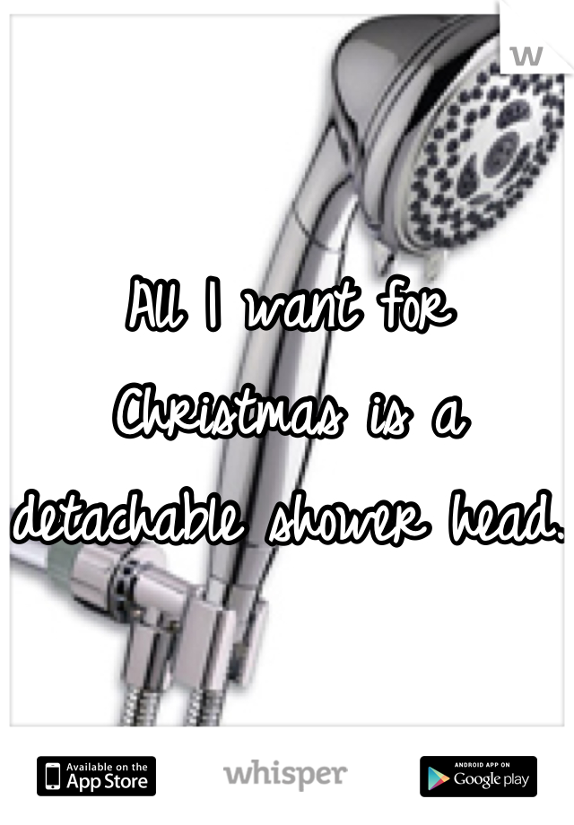 All I want for Christmas is a detachable shower head. 