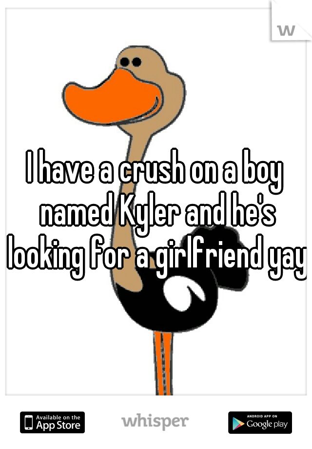 I have a crush on a boy named Kyler and he's looking for a girlfriend yay