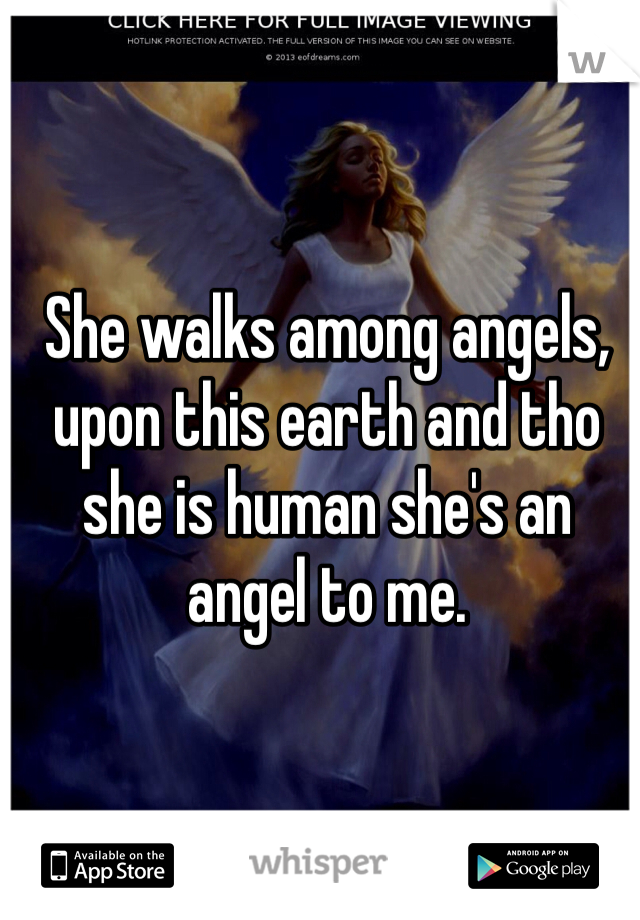 She walks among angels, upon this earth and tho she is human she's an angel to me. 