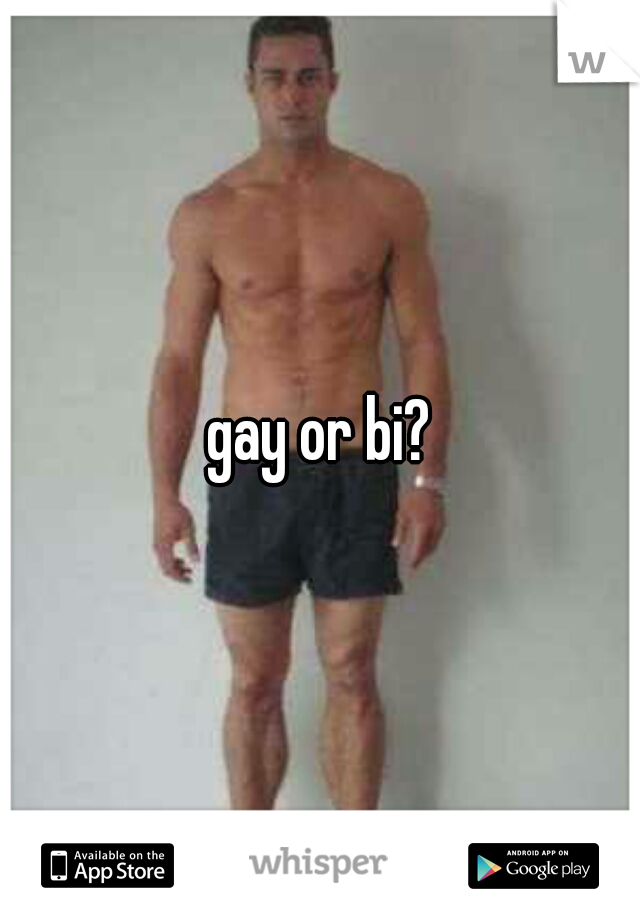 gay or bi?
