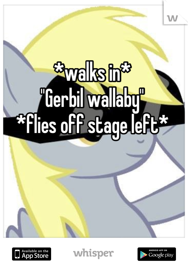 *walks in*
"Gerbil wallaby"
*flies off stage left*