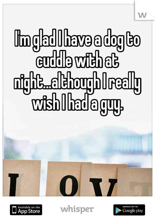I'm glad I have a dog to cuddle with at night...although I really wish I had a guy. 

