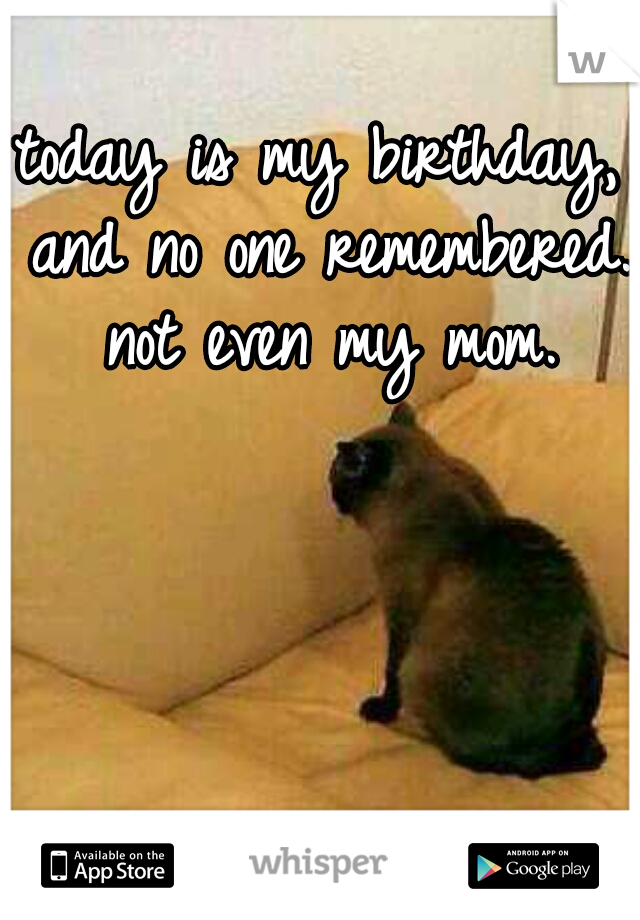 today is my birthday, and no one remembered. not even my mom.