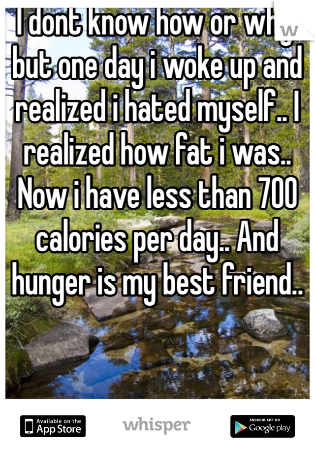 I dont know how or why, but one day i woke up and realized i hated myself.. I realized how fat i was.. Now i have less than 700 calories per day.. And hunger is my best friend.. 