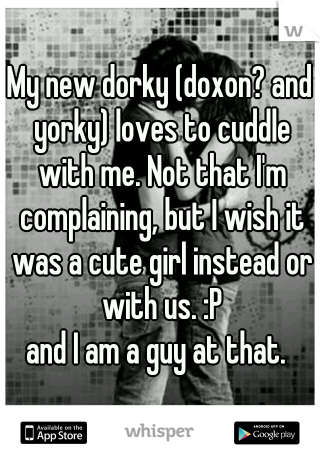 My new dorky (doxon? and yorky) loves to cuddle with me. Not that I'm complaining, but I wish it was a cute girl instead or with us. :P
and I am a guy at that. 