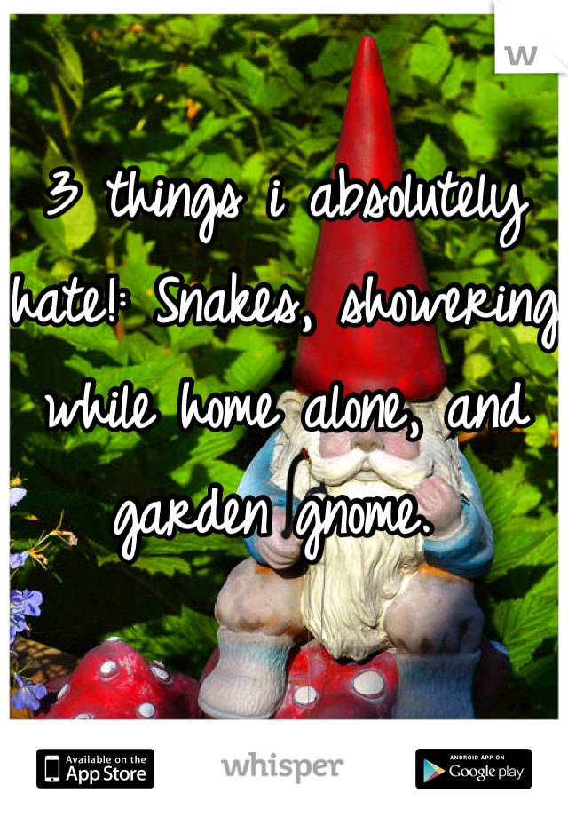 3 things i absolutely hate!: Snakes, showering while home alone, and garden gnome. 