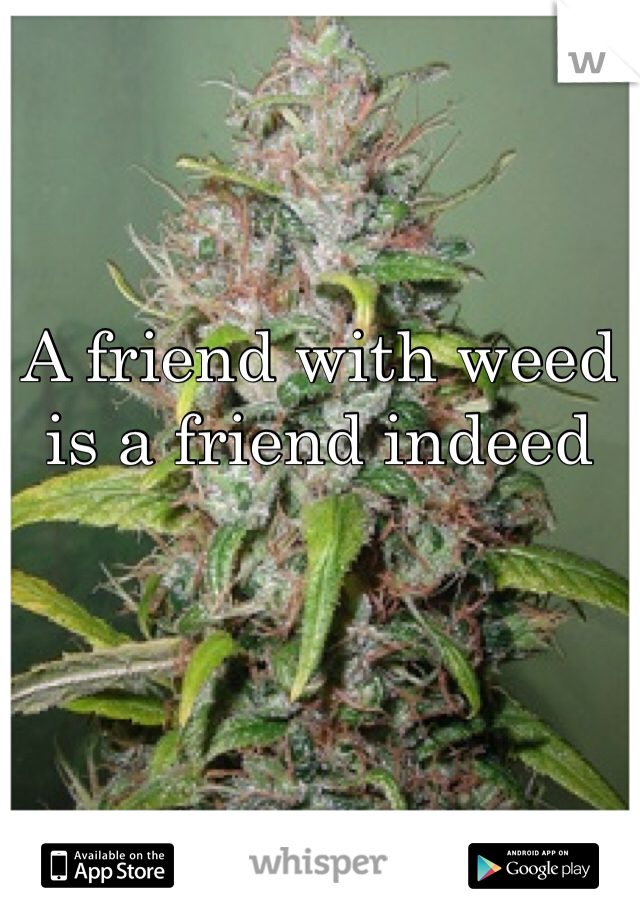 A friend with weed is a friend indeed
