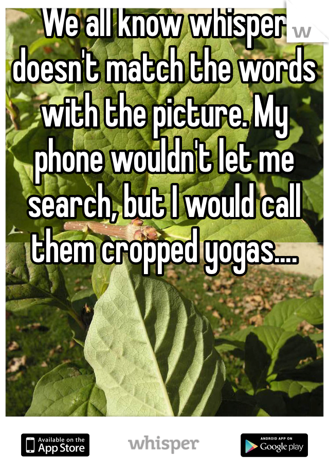 We all know whisper doesn't match the words with the picture. My phone wouldn't let me search, but I would call them cropped yogas....