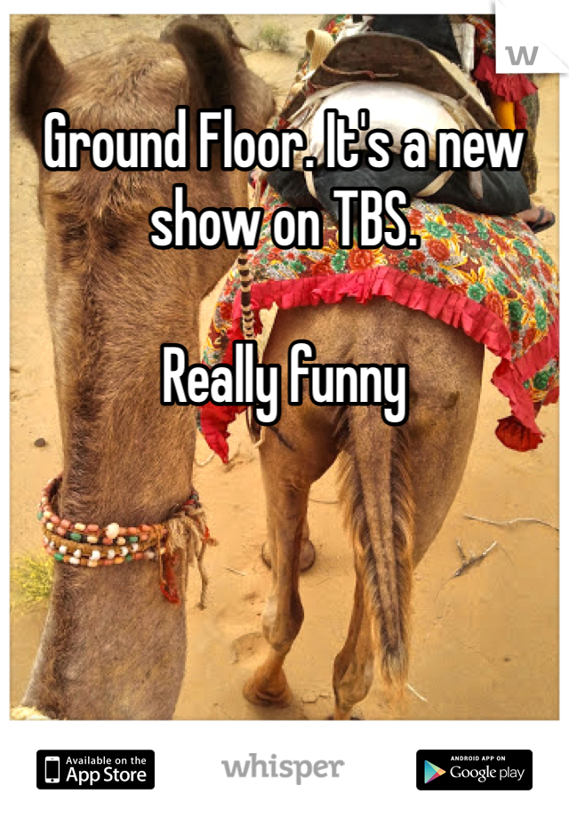Ground Floor. It's a new show on TBS. 

Really funny