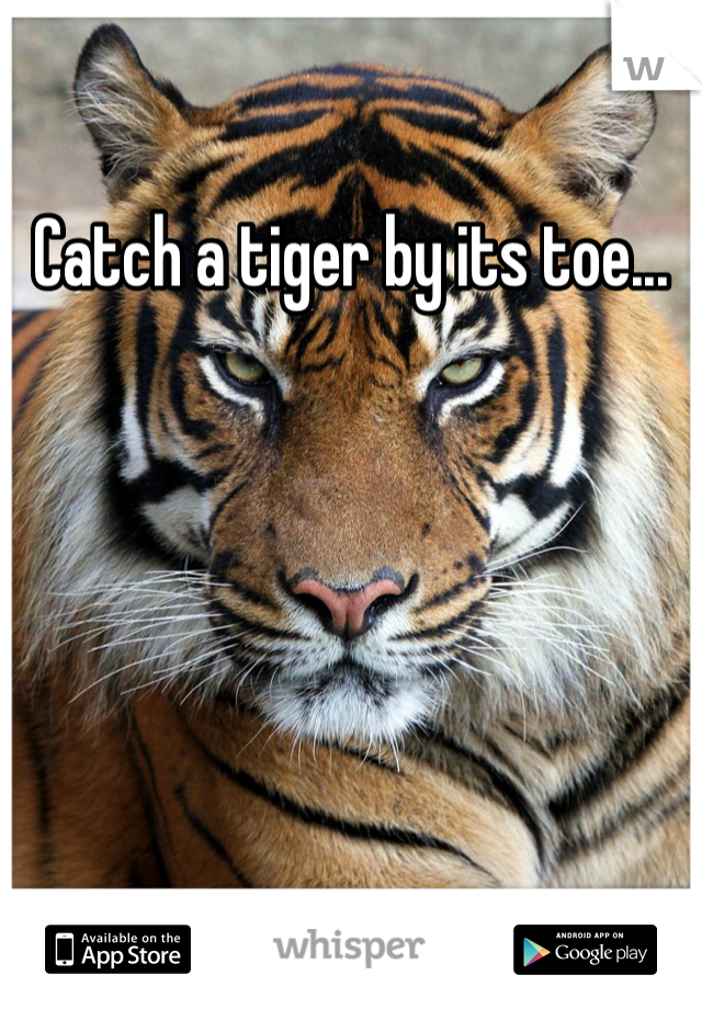 Catch a tiger by its toe...