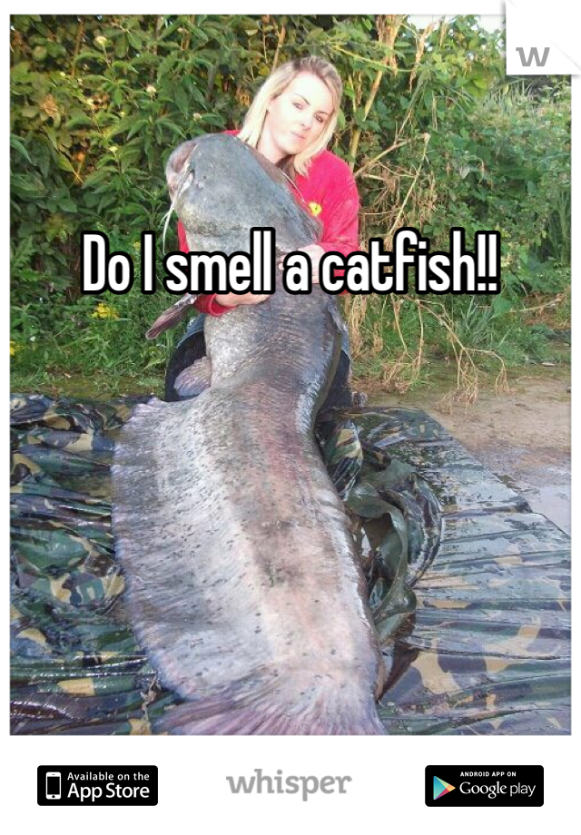 Do I smell a catfish!! 