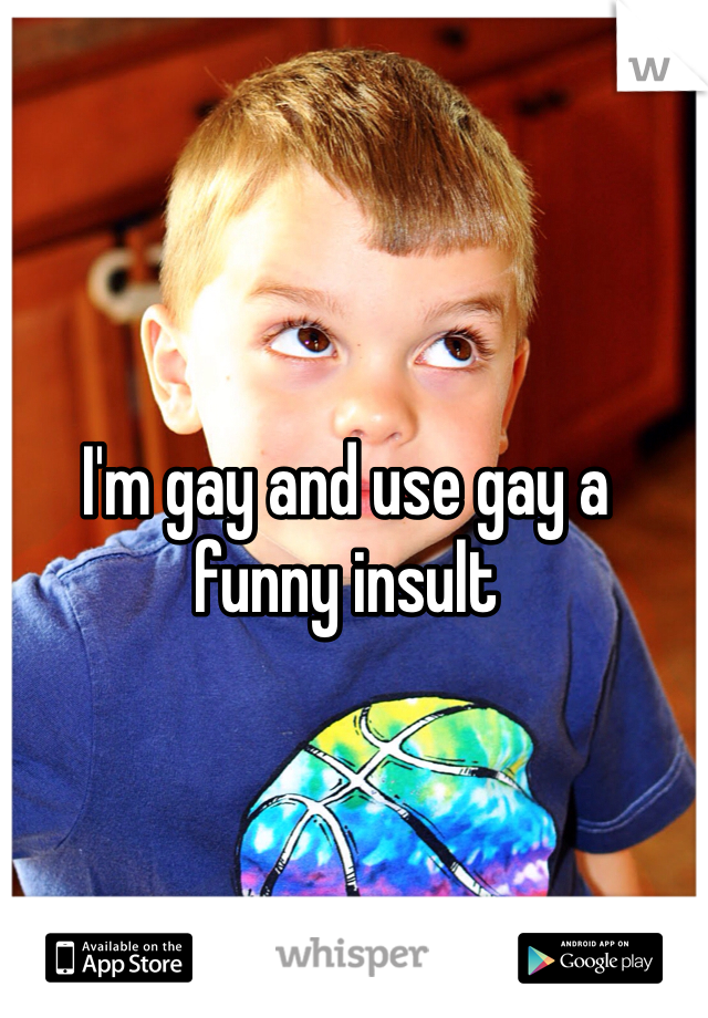 I'm gay and use gay a funny insult 
