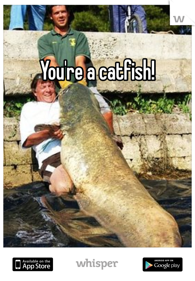 You're a catfish! 