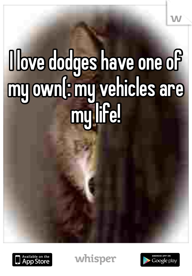 I love dodges have one of my own(: my vehicles are my life! 