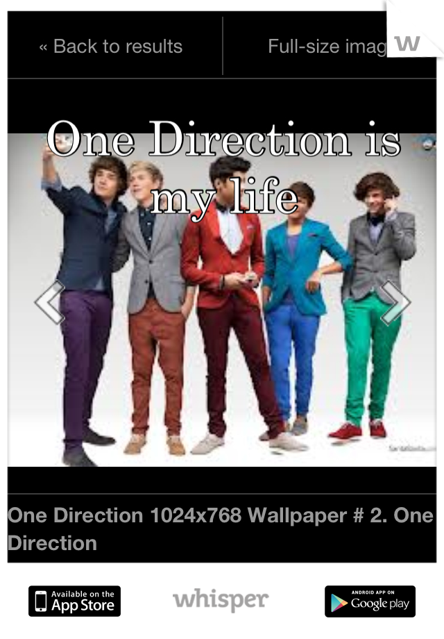 One Direction is my life