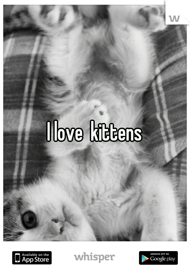 I love  kittens