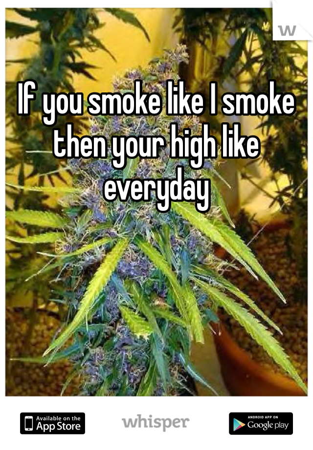 If you smoke like I smoke then your high like everyday 