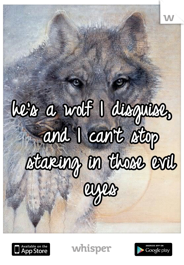 he's a wolf I disguise,  and I can't stop staring in those evil eyes