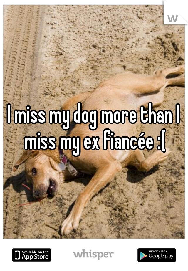 I miss my dog more than I miss my ex fiancée :(