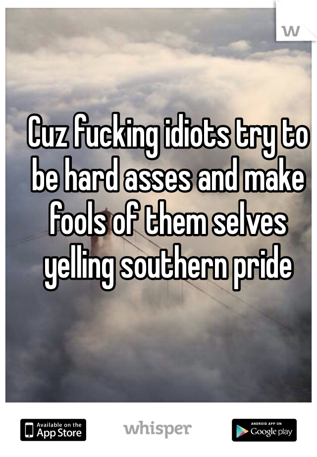 Cuz fucking idiots try to be hard asses and make fools of them selves yelling southern pride 
