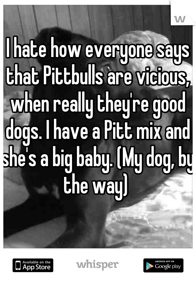 I hate how everyone says that Pittbulls are vicious, when really they're good dogs. I have a Pitt mix and she's a big baby. (My dog, by the way) 