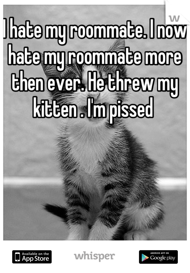 I hate my roommate. I now hate my roommate more then ever. He threw my kitten . I'm pissed 